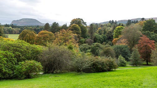 Views of the parkland with Benaughlin mountain rising in the background at Florence Court, County Fermanagh